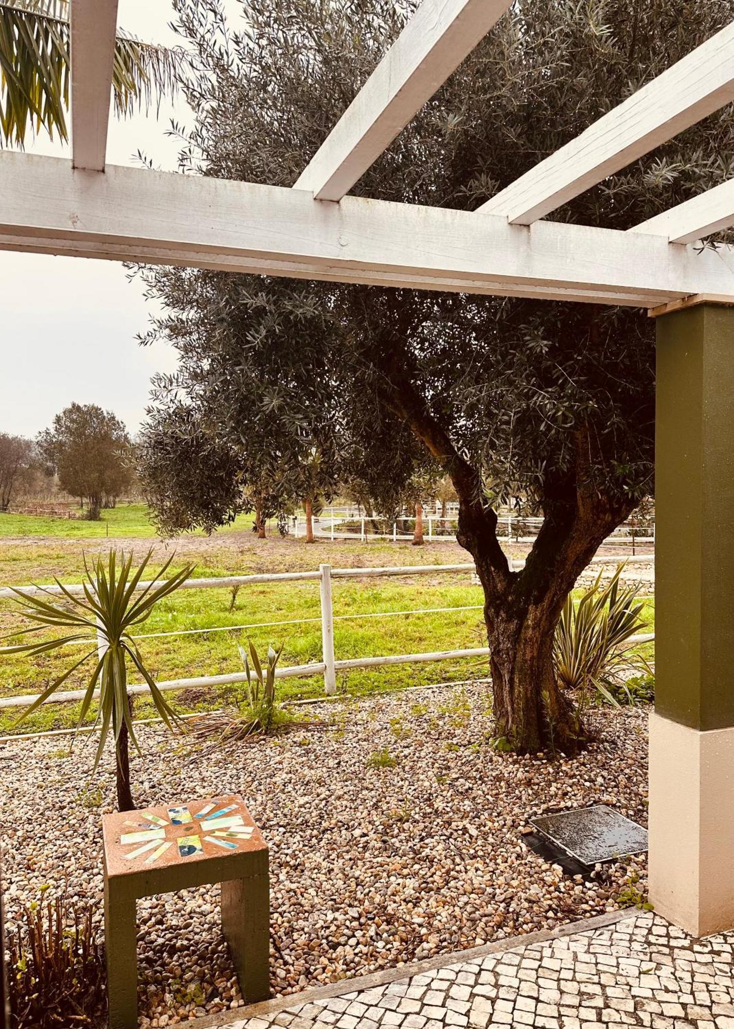 Quinta Do Pinheiro Hotel E Eventos By Grupo Quinta Dos Lagos Valado de Frades Exteriör bild
